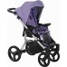 Универсальная детская коляска BEBETTO LUCA 2 в 1 фиолетовая