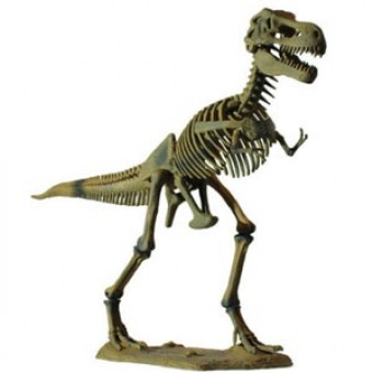 Большой Скелет динозавра - Тираннозавр