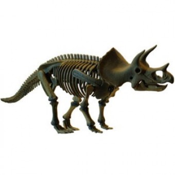 Большой Скелет динозавра - Трицератопс